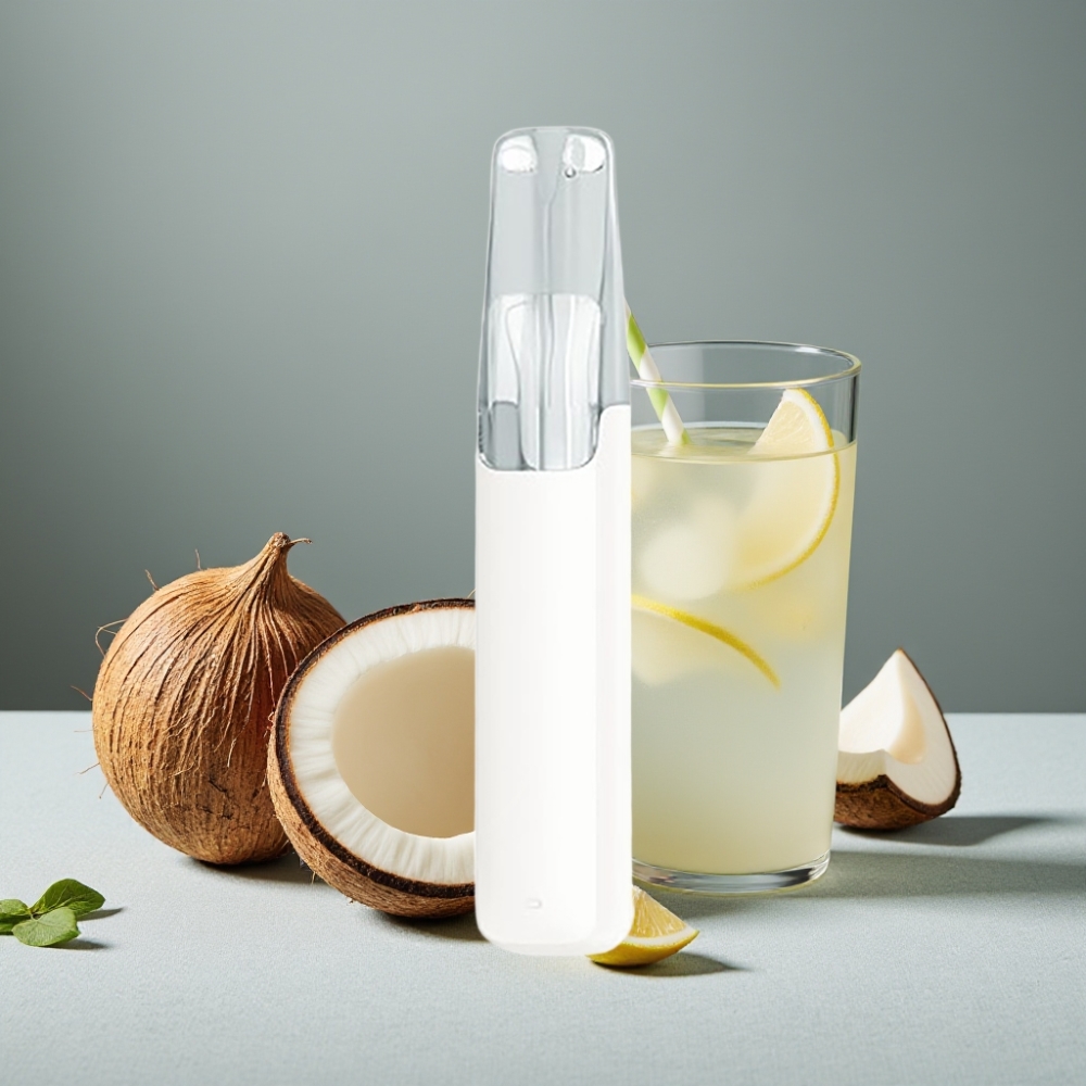 Snowplus Dash 4000 Puffs Keramik Kokoswasser großhandel vapes Austria