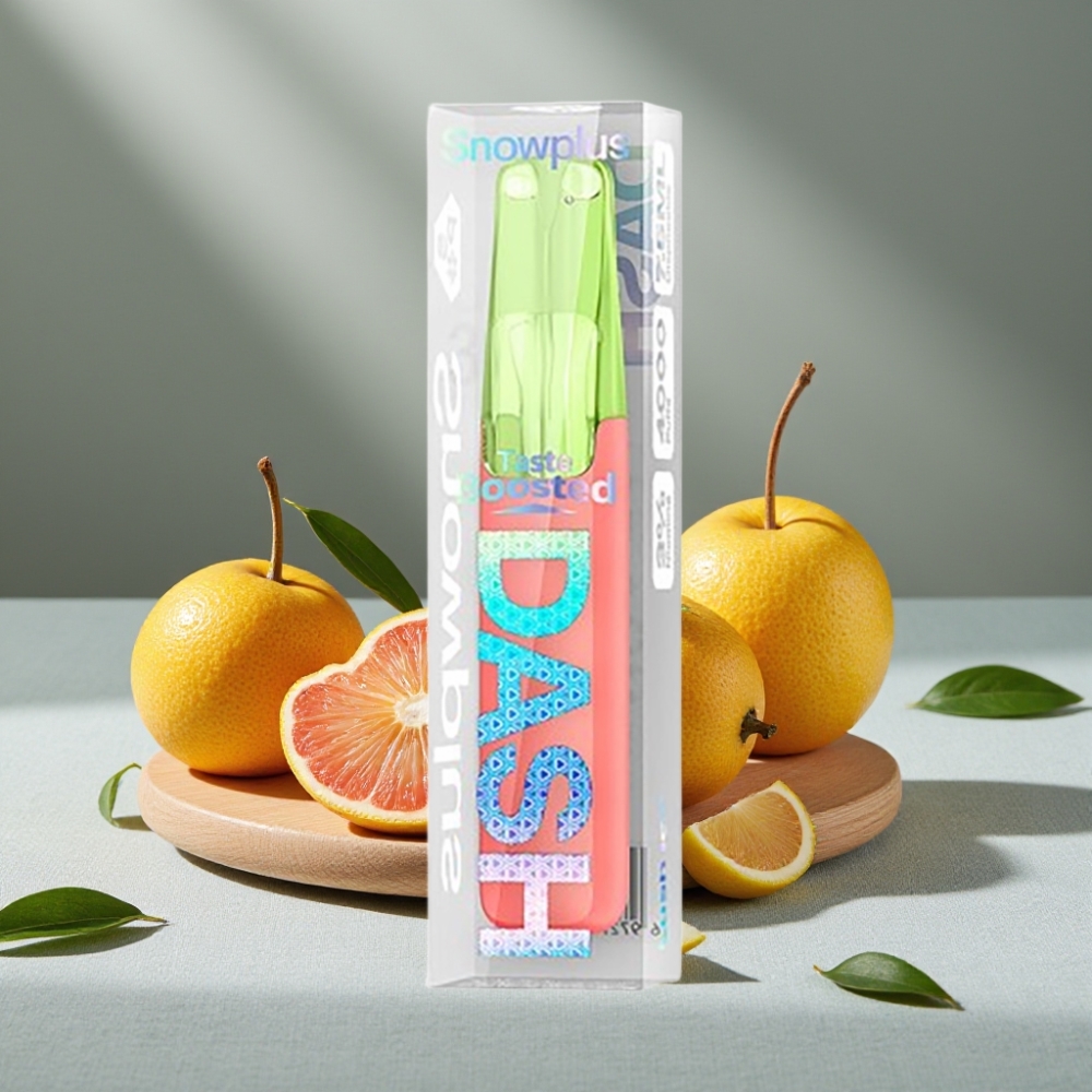 Snowplus Dash 4000 Züge 7,5 ml Eisige Frische großhandel vapes Austria