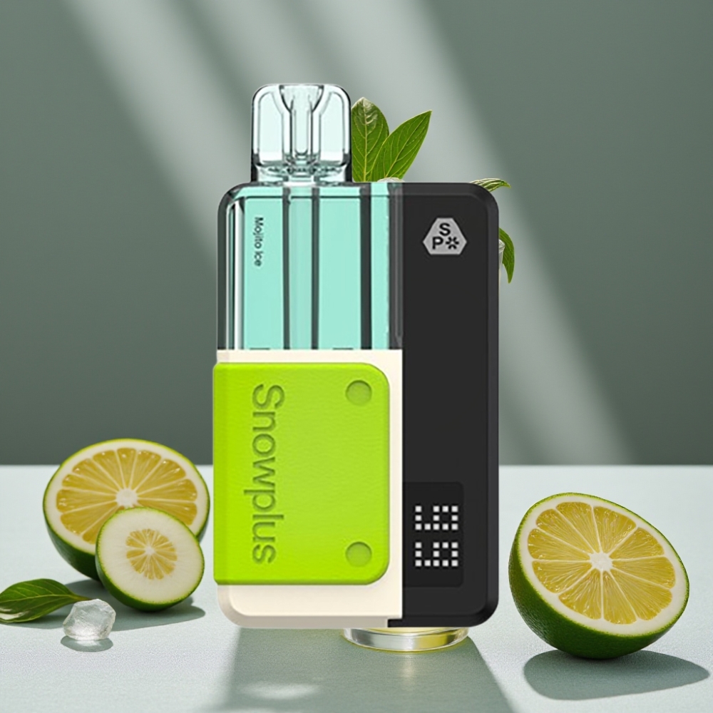 Snowplus Swift 5000 Puffs Dual Mesh Mojito Eis großhandel vapes Austria